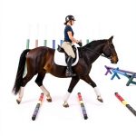 Kindle Short Read Equestrian Guide by Amazon-0