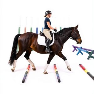 Kindle Short Read Equestrian Guide by Amazon-0